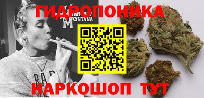 a pvp Новокубанск